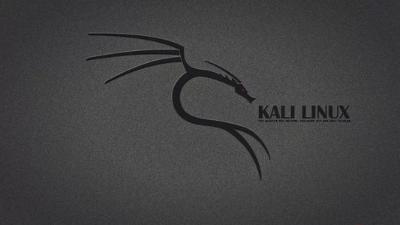 解决Kali201904版本中文安装乱码问题