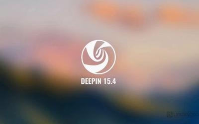 Deepin之大黄蜂驱动