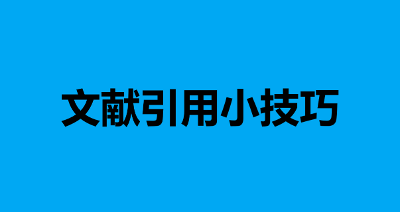 文献引用小技巧