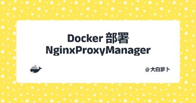 Docker部署NginxProxyManager